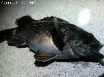 クロソイ