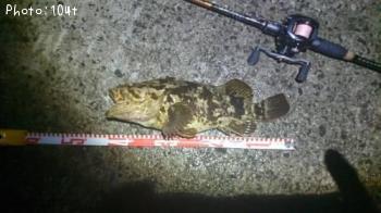 タケノコメバル