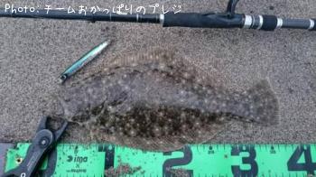ヒラメ