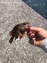 饫