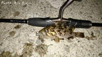 クロソイ