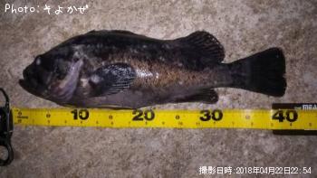 クロソイ