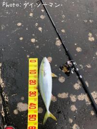 ʥ