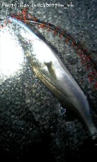 Х