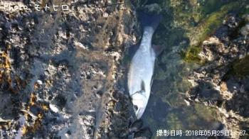 ҥ饹