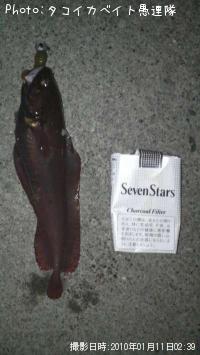 ʥ