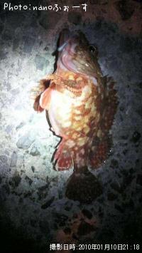 饫