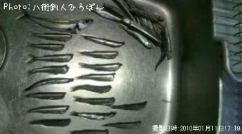 ȥ亮