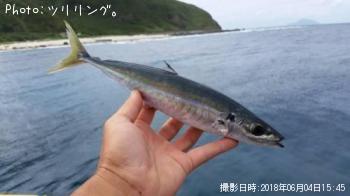 ムロアジ