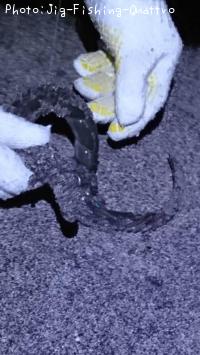 ʥ