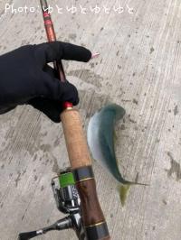 ʥ