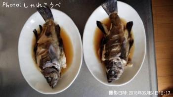 メバル
