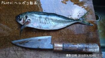 アジ
