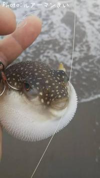 ͥ