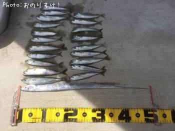 タチウオ