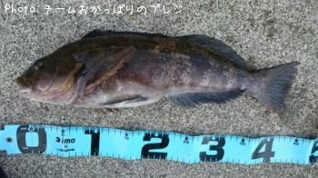 ʥ