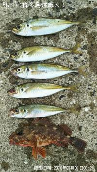 アジ