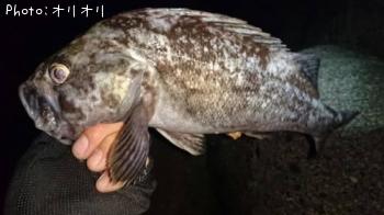 クロソイ