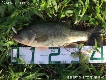 顼ޥХ