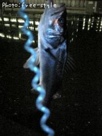 ӣ£