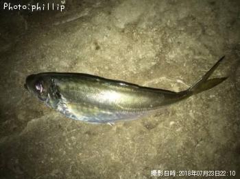 アジ