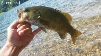 スモールマウスバス