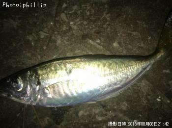 アジ
