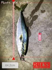 ワラサ