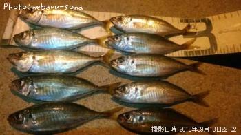 アジ
