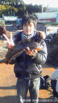 アイナメ