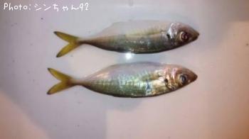 アジ