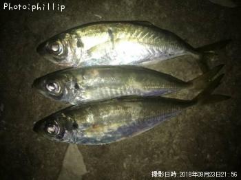 アジ