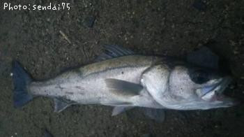 Х