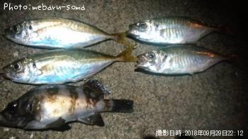 アジ