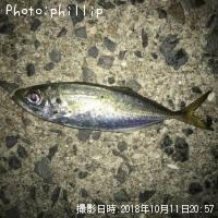 アジ