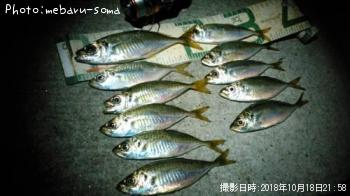 アジ