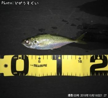 アジ