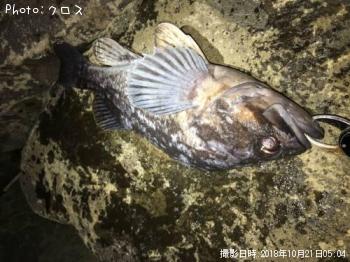 クロソイ