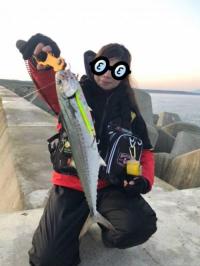 サゴシ
