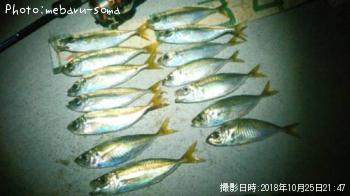 アジ