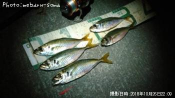 アジ