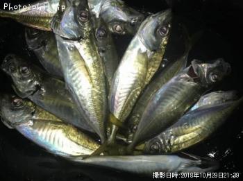 アジ