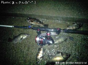 メバル