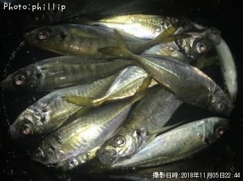 アジ