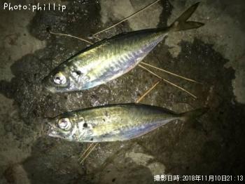 アジ