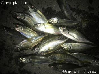 アジ