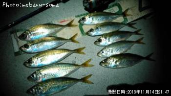 アジ