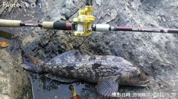 アイナメ