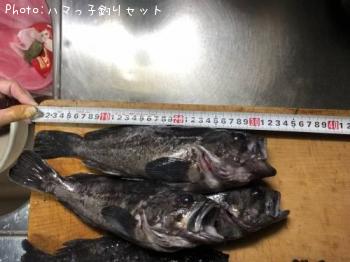 クロソイ