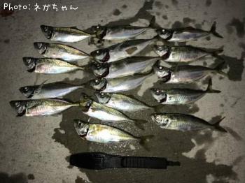 アジ
